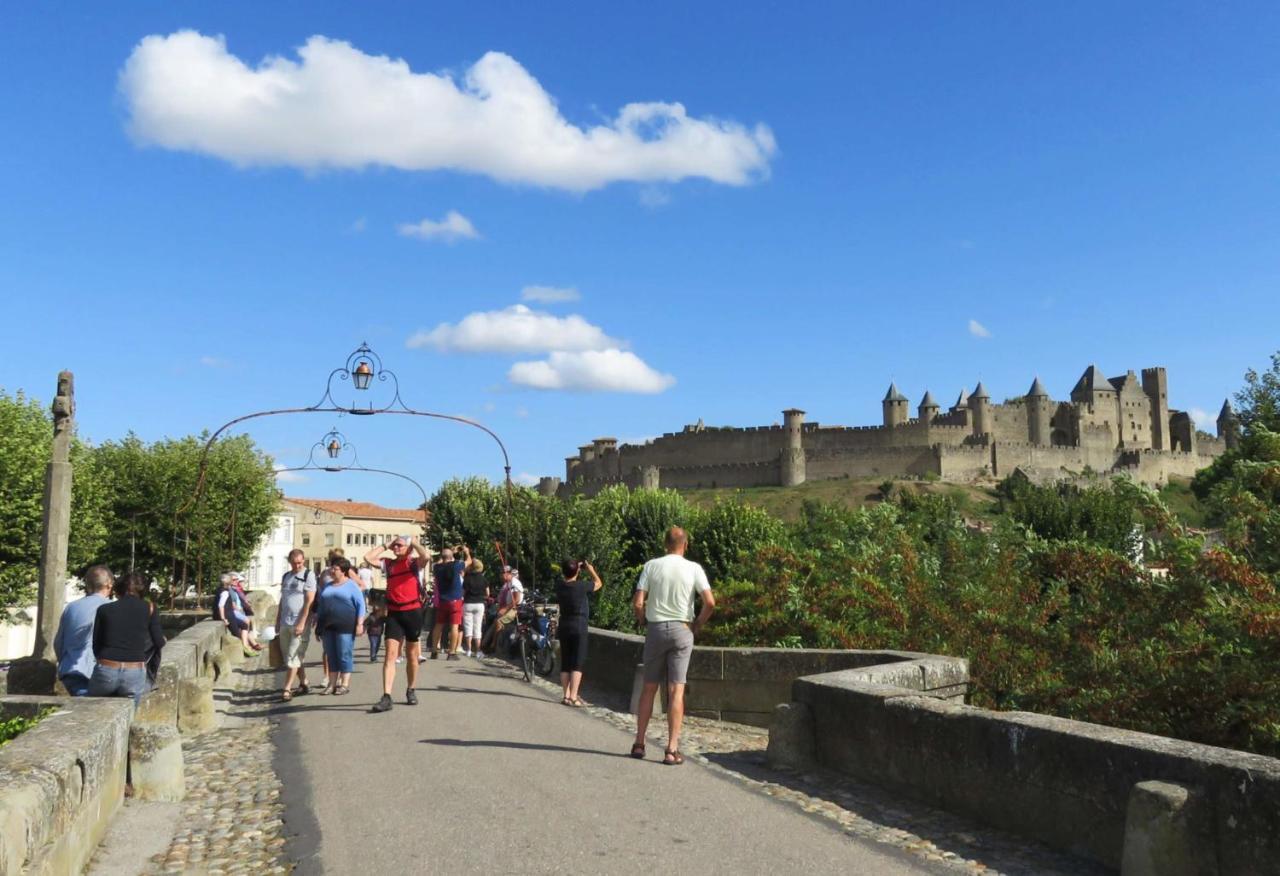 Tout Confort ! Calme, Climatisation, Piscine, Parking Gratuit, Grande Terrasse, Netflix, Wifi Carcassonne Buitenkant foto