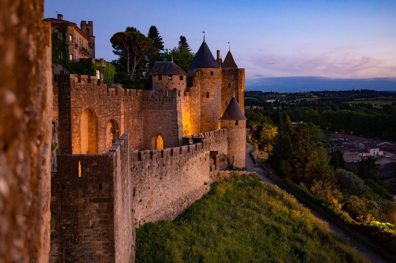 Tout Confort ! Calme, Climatisation, Piscine, Parking Gratuit, Grande Terrasse, Netflix, Wifi Carcassonne Buitenkant foto