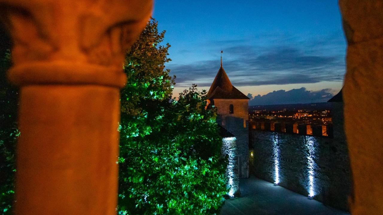 Tout Confort ! Calme, Climatisation, Piscine, Parking Gratuit, Grande Terrasse, Netflix, Wifi Carcassonne Buitenkant foto