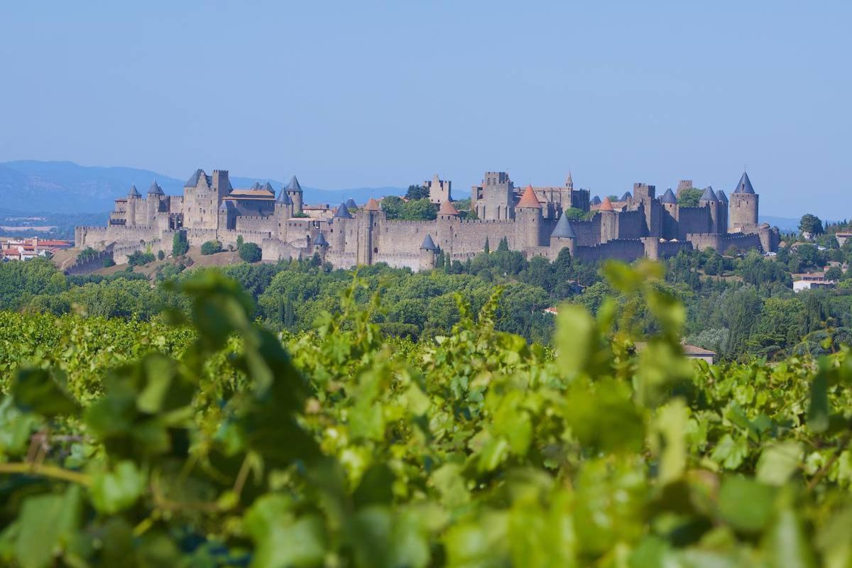 Tout Confort ! Calme, Climatisation, Piscine, Parking Gratuit, Grande Terrasse, Netflix, Wifi Carcassonne Buitenkant foto