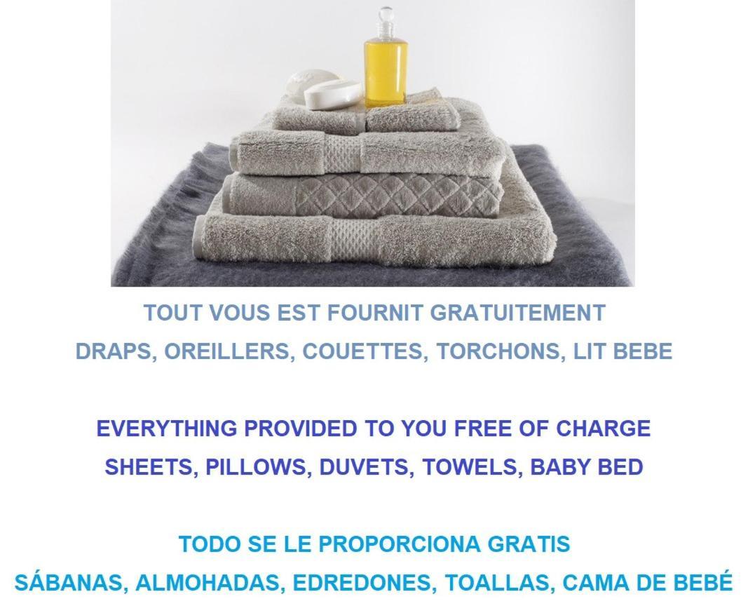 Tout Confort ! Calme, Climatisation, Piscine, Parking Gratuit, Grande Terrasse, Netflix, Wifi Carcassonne Buitenkant foto