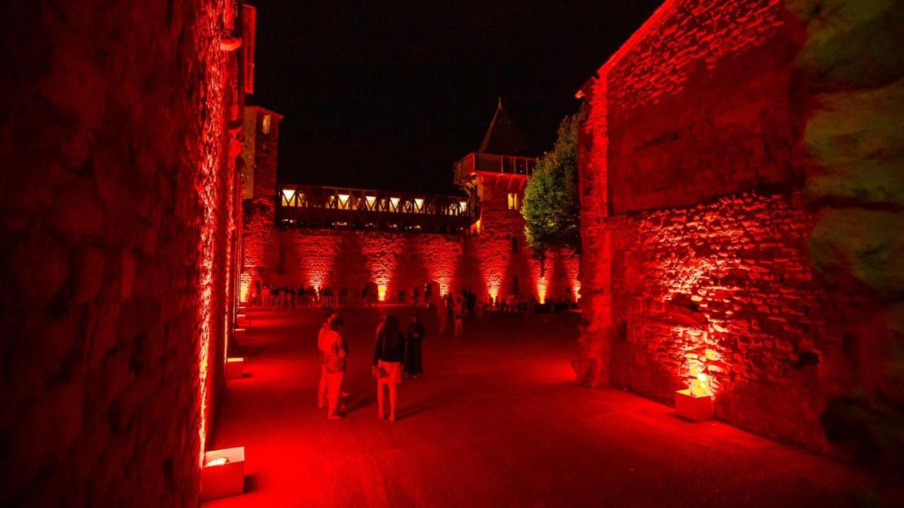 Tout Confort ! Calme, Climatisation, Piscine, Parking Gratuit, Grande Terrasse, Netflix, Wifi Carcassonne Buitenkant foto
