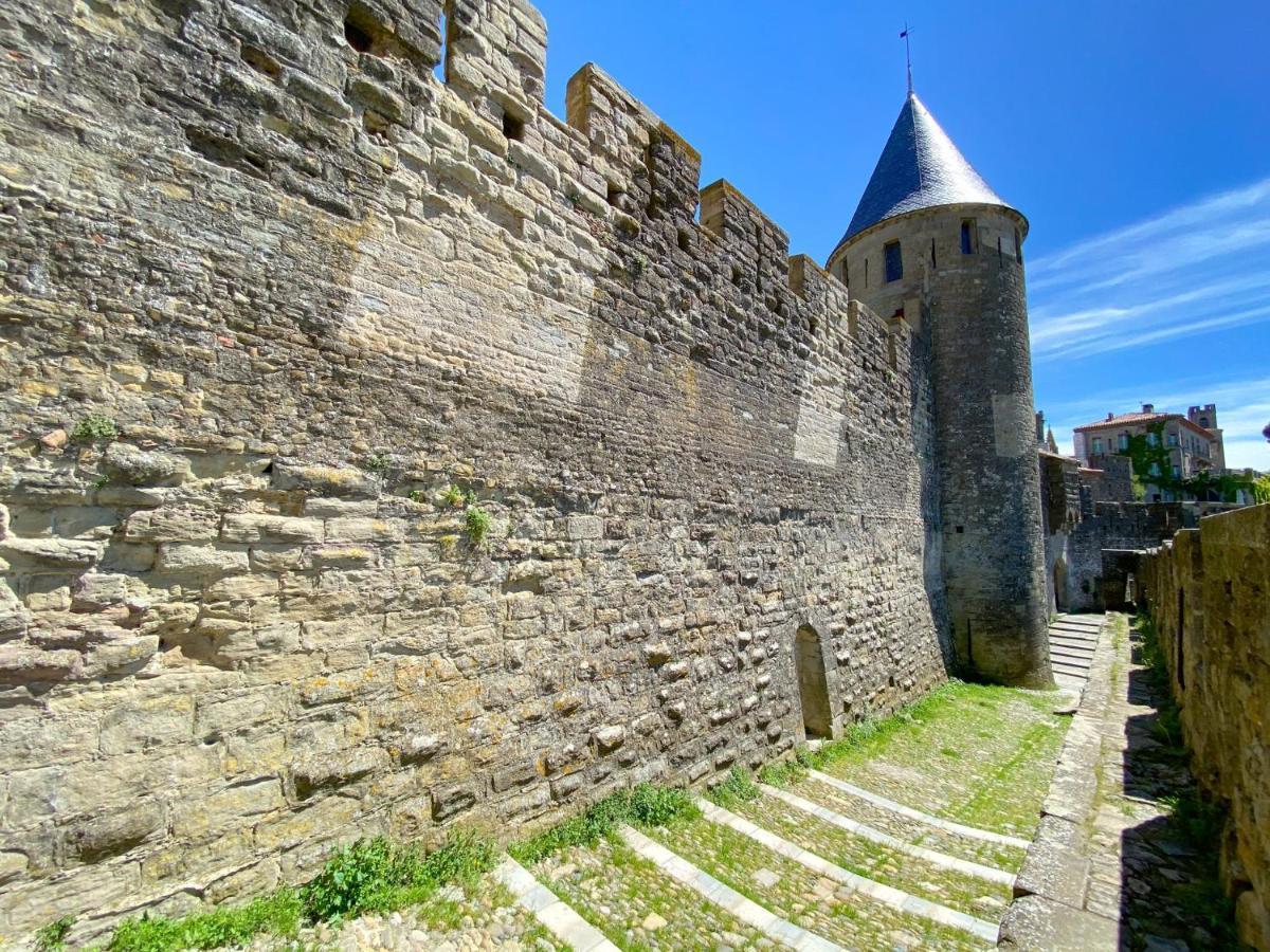 Tout Confort ! Calme, Climatisation, Piscine, Parking Gratuit, Grande Terrasse, Netflix, Wifi Carcassonne Buitenkant foto